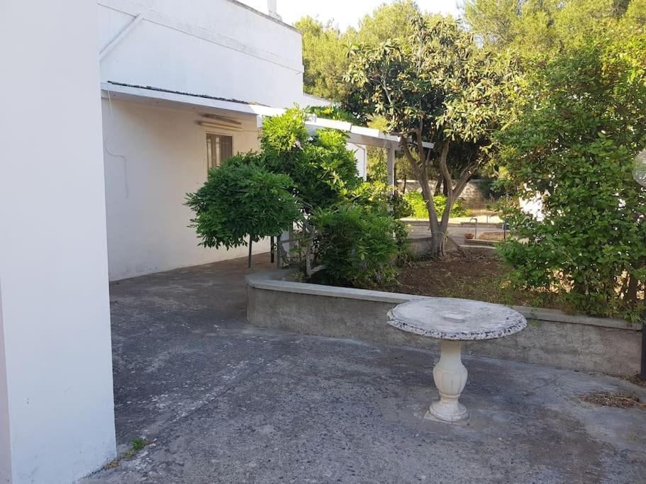 Casa Vacanze Salento - Villa Diso Галатина Екстериор снимка